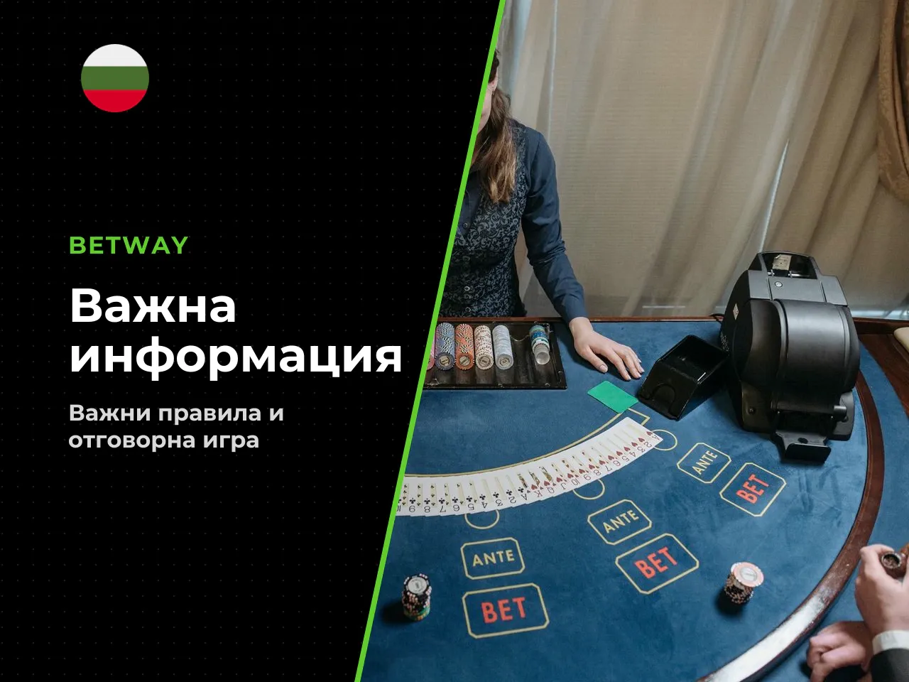 Дисклеймер. Материалът е с информационен и